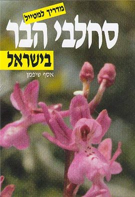 >סחלבי הבר בישראל