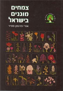 >צמחים מוגנים בישראל