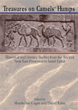 >Treasures on Camels' Humps