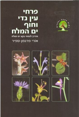 >Flowers of Ein Gedi and the Dead Sea Coast
