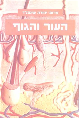 >העור והגוף