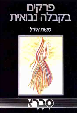 >פרקים בקבלה נבואית