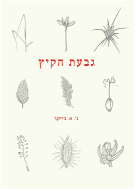 >גבעת הקיץ