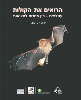 >הרואים את הקולות