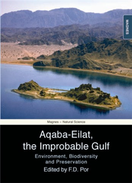 >Aqaba-Eilat, the Improbable Gulf