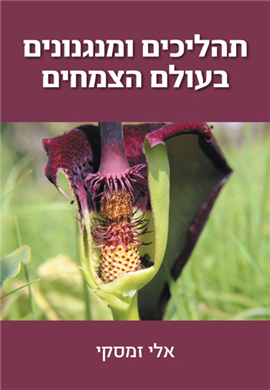 >תהליכים ומנגנונים בעולם הצמחים