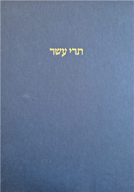 >תרי עשר